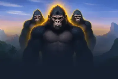 3 Wild Gorillas