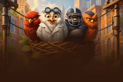 Birds in The City