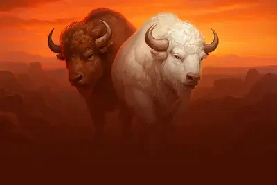 Buffalo Horizon