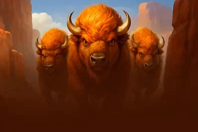 Bison - Canyon Run