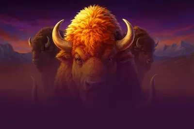 Buffalo Goes Wild II