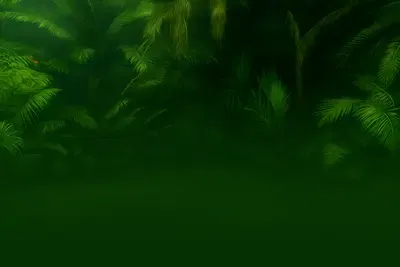 Amazonia