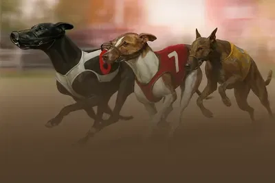 Dogs (Platinum Hounds)