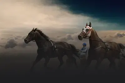 Harness Racing