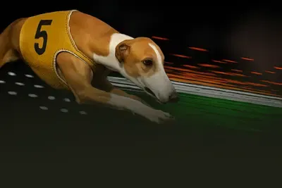 Virtual dogs