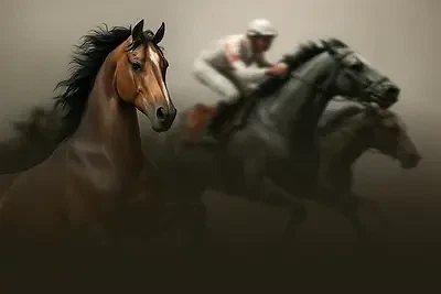 Virtual Horses