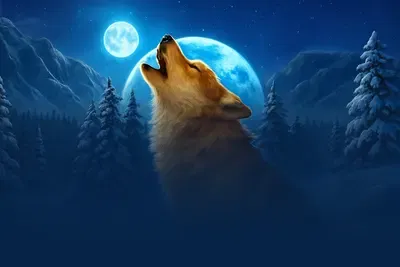 Siberian Wolf