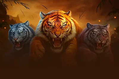Tiger Warrior