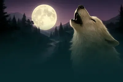 Night Wolves