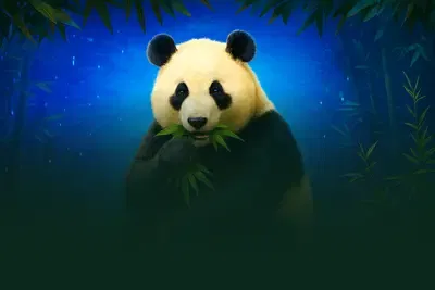 Panda's Fortune™