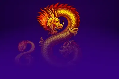 8 Dragons™