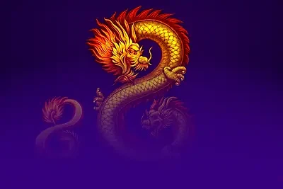 8 Dragons™