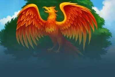 Fenix Play 27