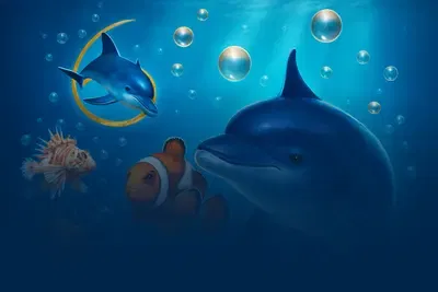 Wild Dolphin