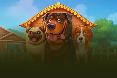 The Dog House