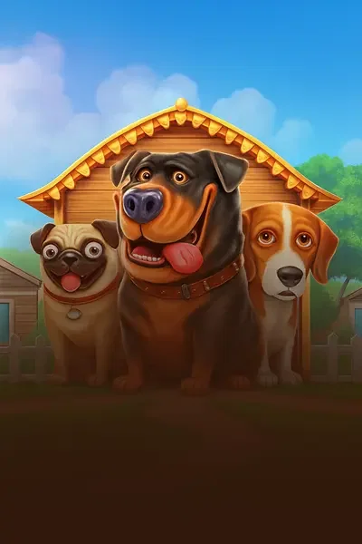 The Dog House