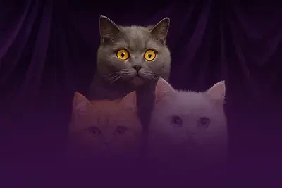 Fluf Tails