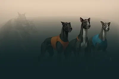Virtual Greyhound Races