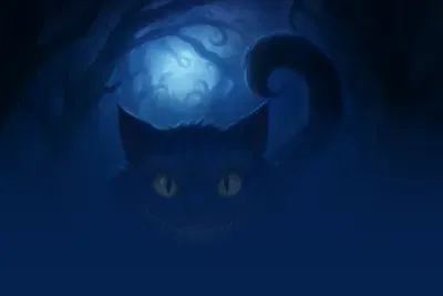 Cheshire Wild