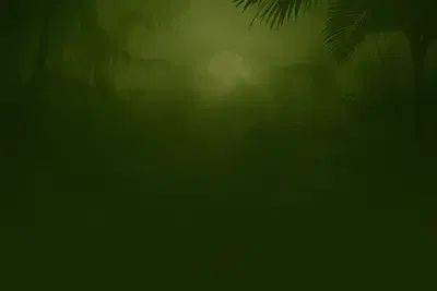 Dino Odyssey