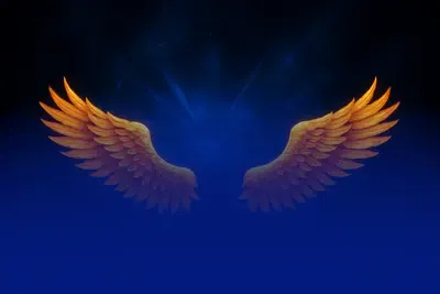 Fire Eagle