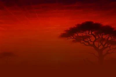 Safari Spirit