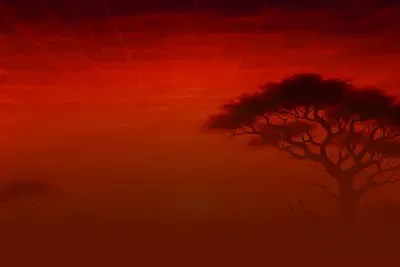 Safari Spirit
