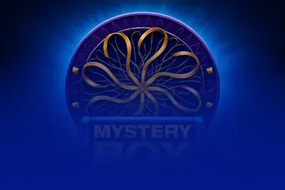 Millionaire Mystery Box