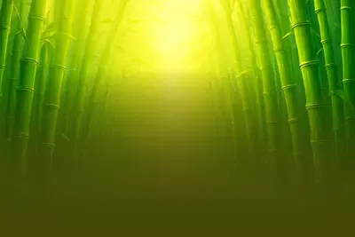 Giant Panda