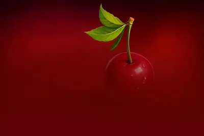Reel Fruits