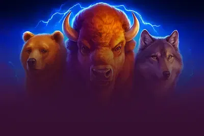 Buffalo Power: Hold and Win