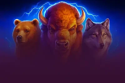 Buffalo Power: Hold and Win