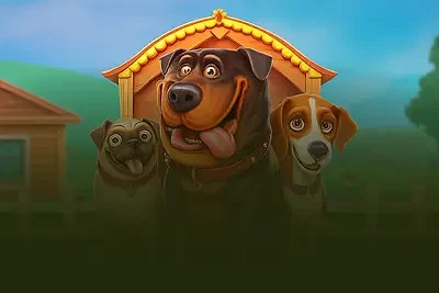 The Dog House Megaways™