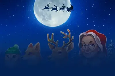Book Of Mrs Claus