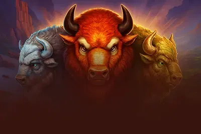 Bison Battle