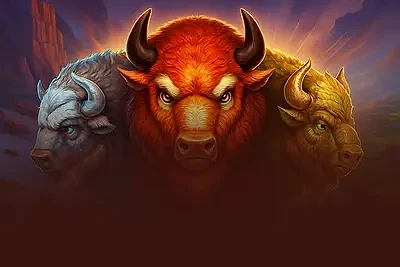 Bison Battle
