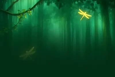 Fairies Land