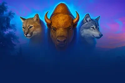 Buffalo Coin