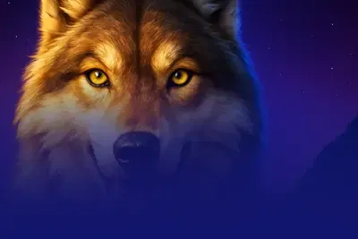Wolf Night