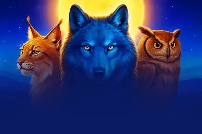 Black Wolf 2