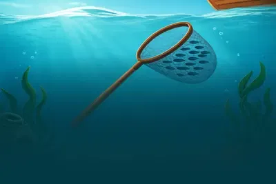 Fishin' Fortunes
