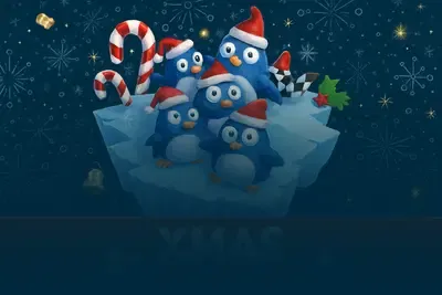 Penguin Plunge Christmas