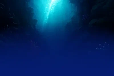 Shark Bait