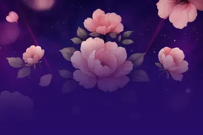 Cash 40 Women's Day