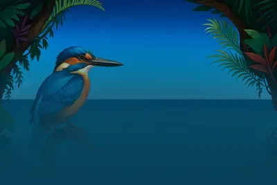 Kingfisher of the Caribbean™