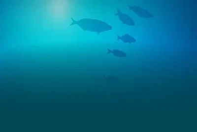 Mermaids Millions