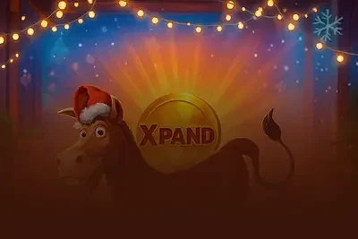 Golden Donkey Christmas Xpand