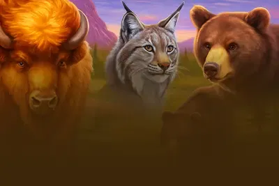 Bisonado 2 PrizeMatch