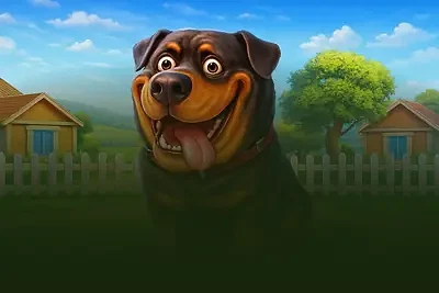 The Dog House Megaways 1000