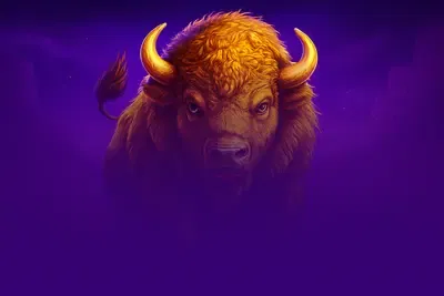 Young Buffalo Coins Special